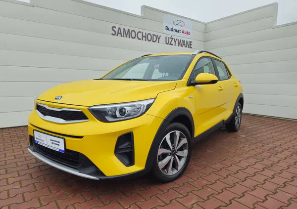 kia dzierzgoń Kia Stonic cena 69900 przebieg: 55240, rok produkcji 2021 z Dzierzgoń